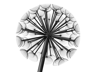 Фонарь уличный Данди 4м/1200 (комплект)